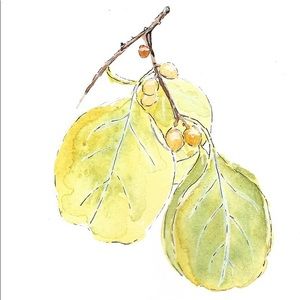 Meet your Posher, Anne